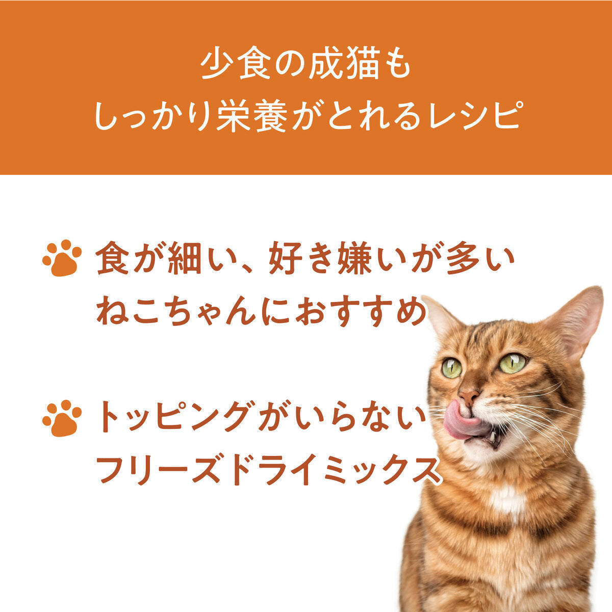 Catit Recipes ADULT 成猫用 チキン 400g/1.5kg