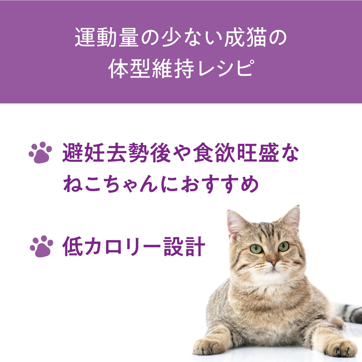【1.5kg 定期便】Catit Recipes INDOOR 室内猫用 チキン