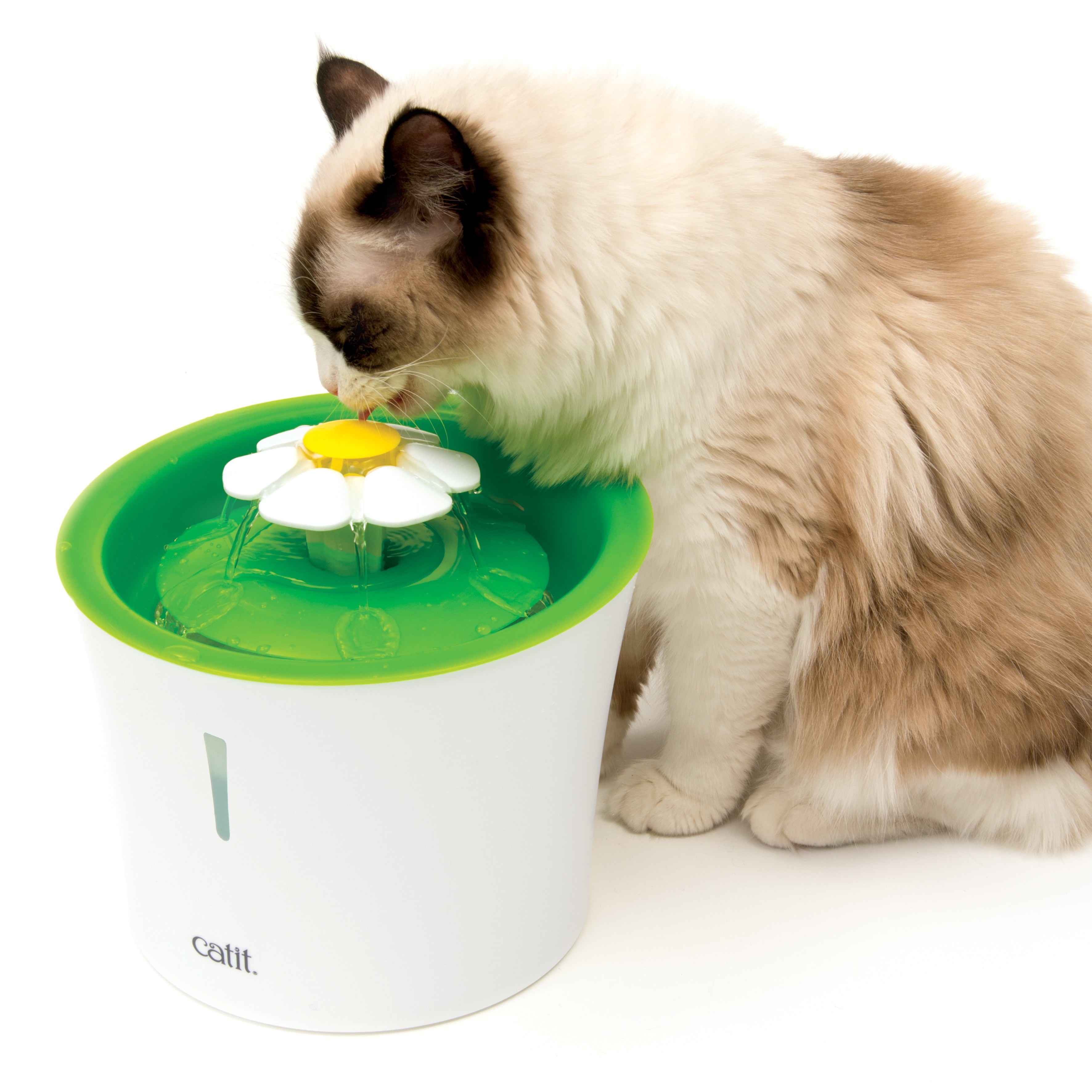 Catit フラワーファウンテンN