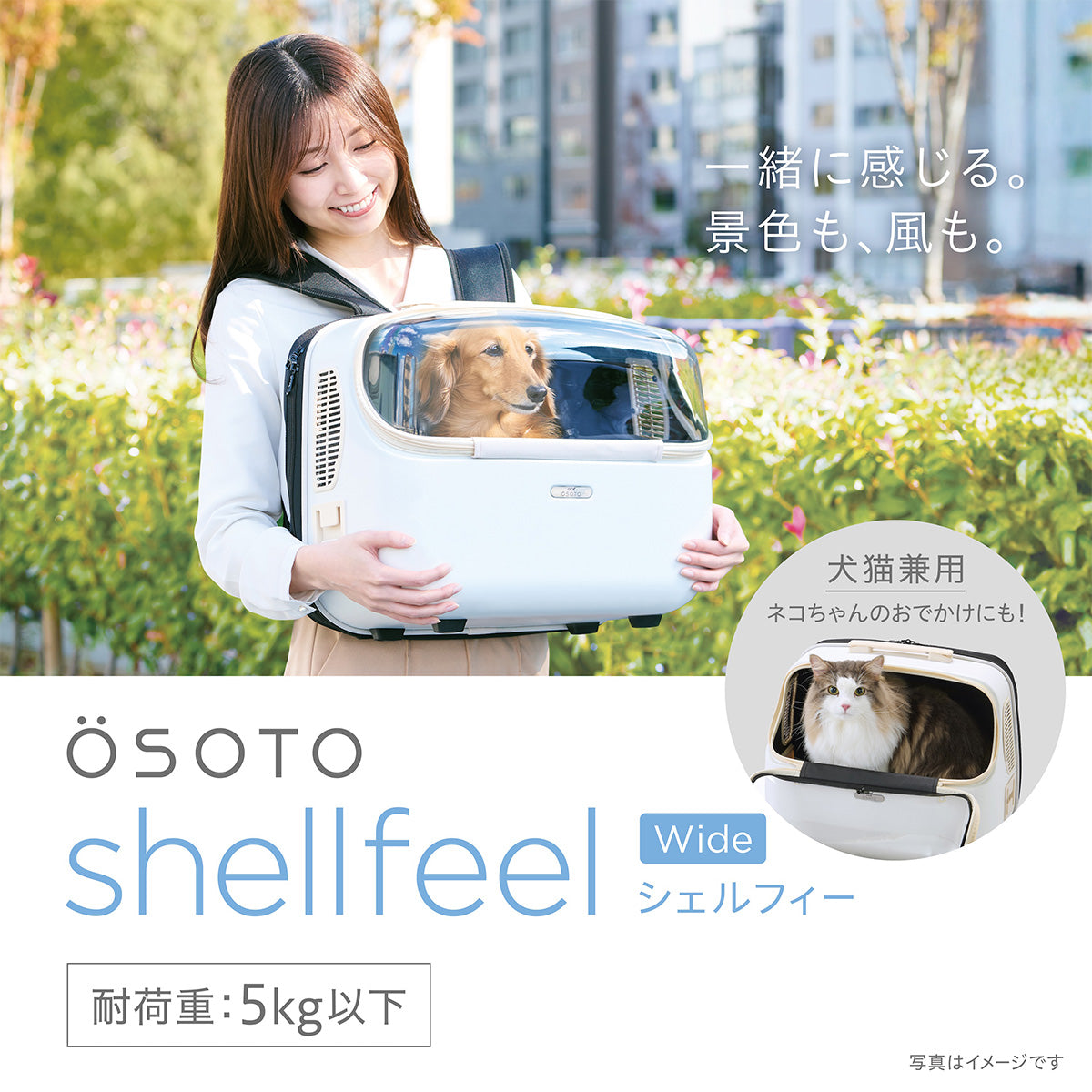 OSOTO シェルフィー Wide ミルク