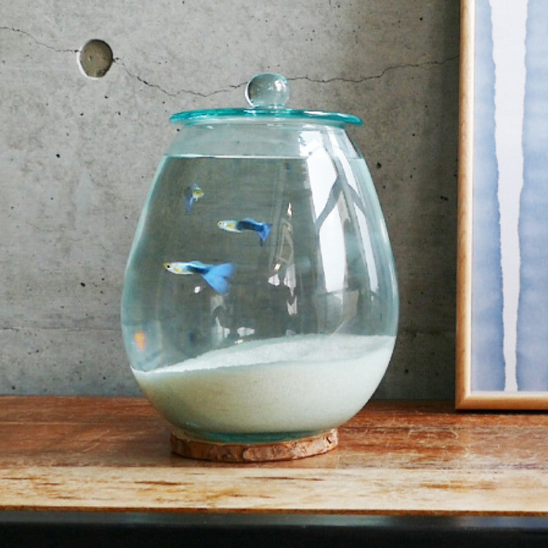 【終売】Requas(リクアス)ベレー#60235