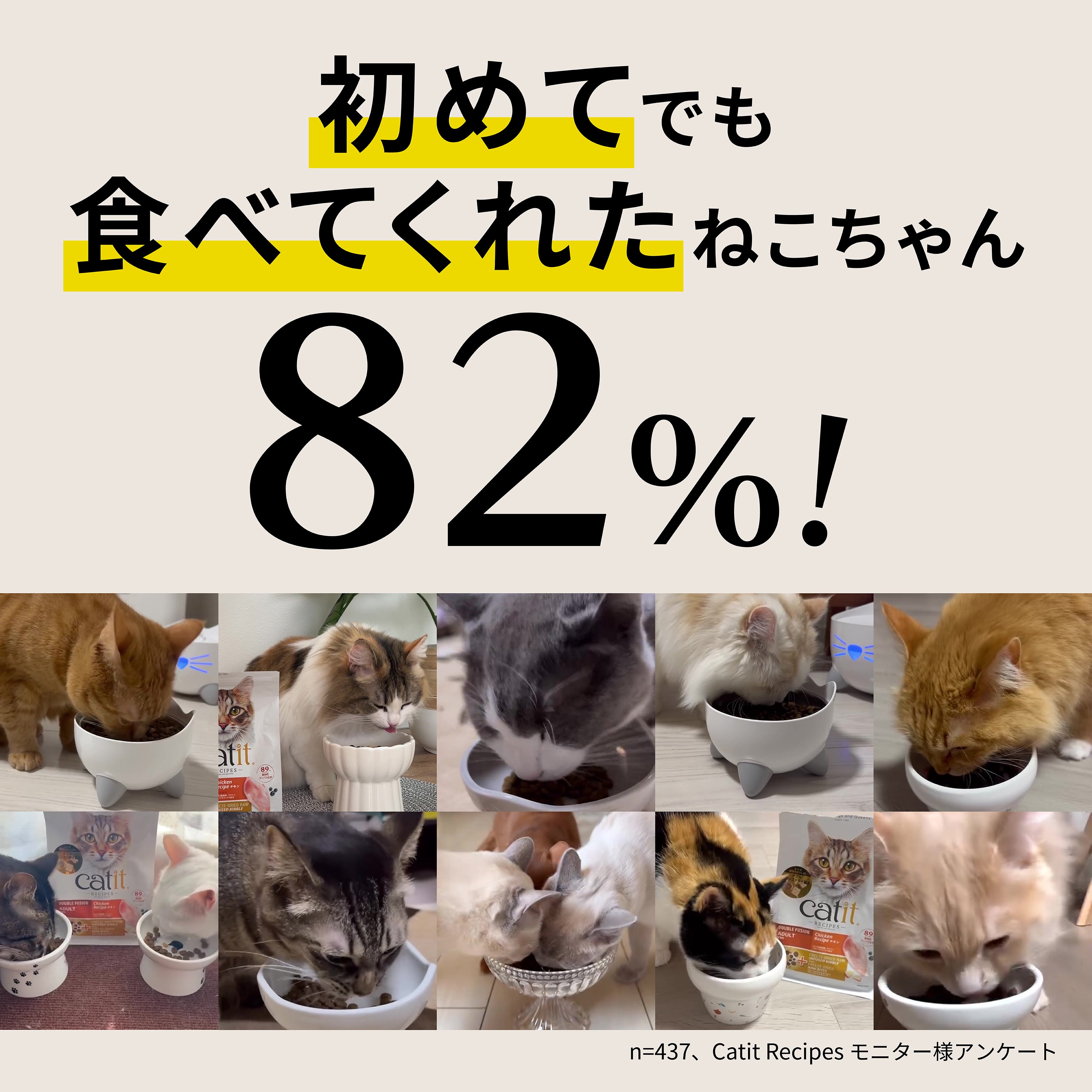 Catit Recipes ADULT 成猫用 チキン 400g/1.5kg