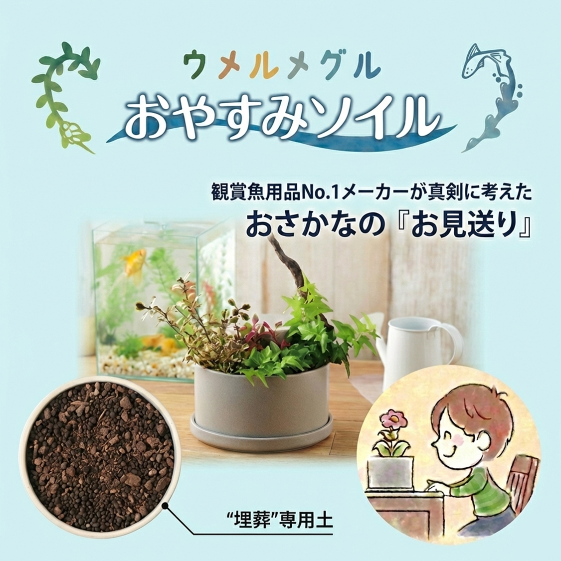 ウメルメグル おやすみソイル #50687