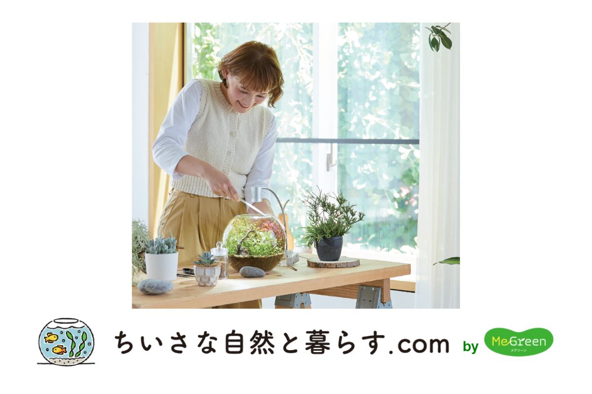 「MeGreen」と「ちいさな自然と暮らす.com」が提案する新しいライフスタイル