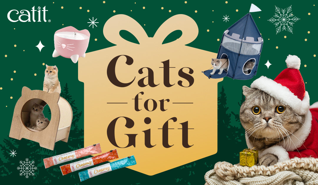 Catit クリスマスギフト 2024