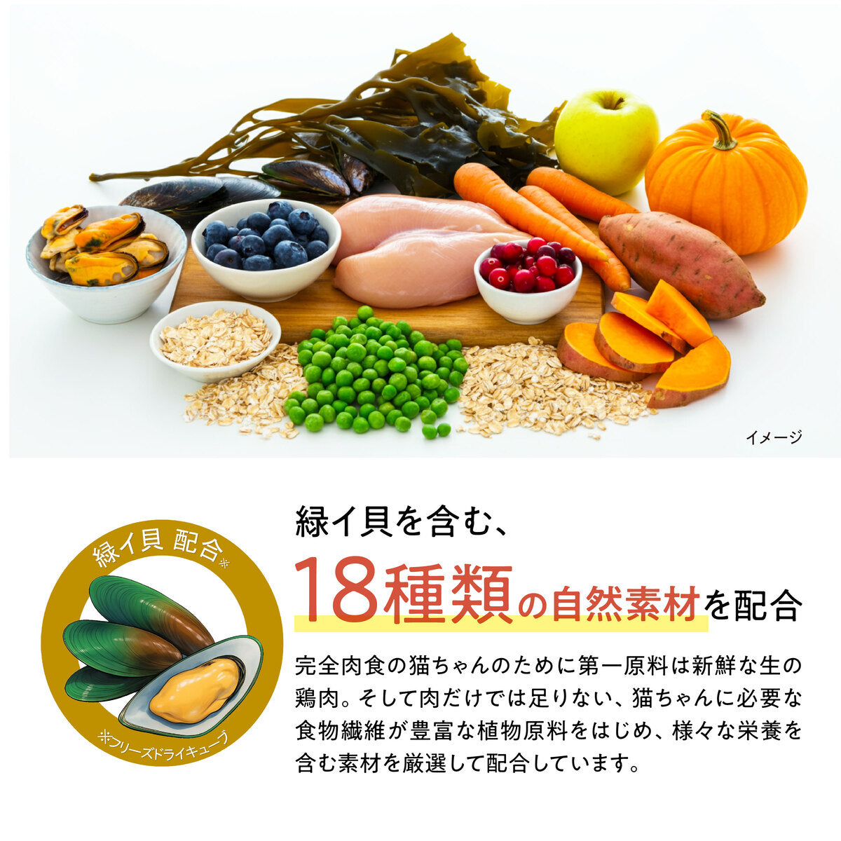 Catit Recipes ADULT 成猫用 チキン 400g/1.5kg