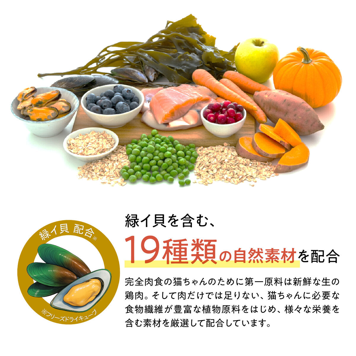 【おまとめ買い】Catit Recipes SKIN&COAT 被毛ケア フィッシュ 4.8kg（400g×12袋）