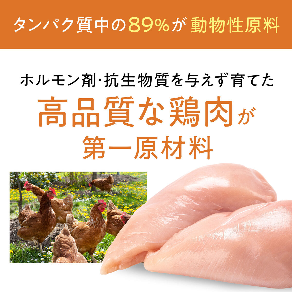 【おためしセット】Catit Recipes ADULT 成猫用 チキン（30g×5袋）