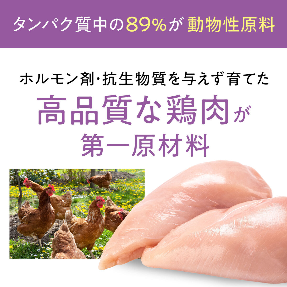 【おためしセット】Catit Recipes INDOOR 室内猫用 チキン（30g×5袋）
