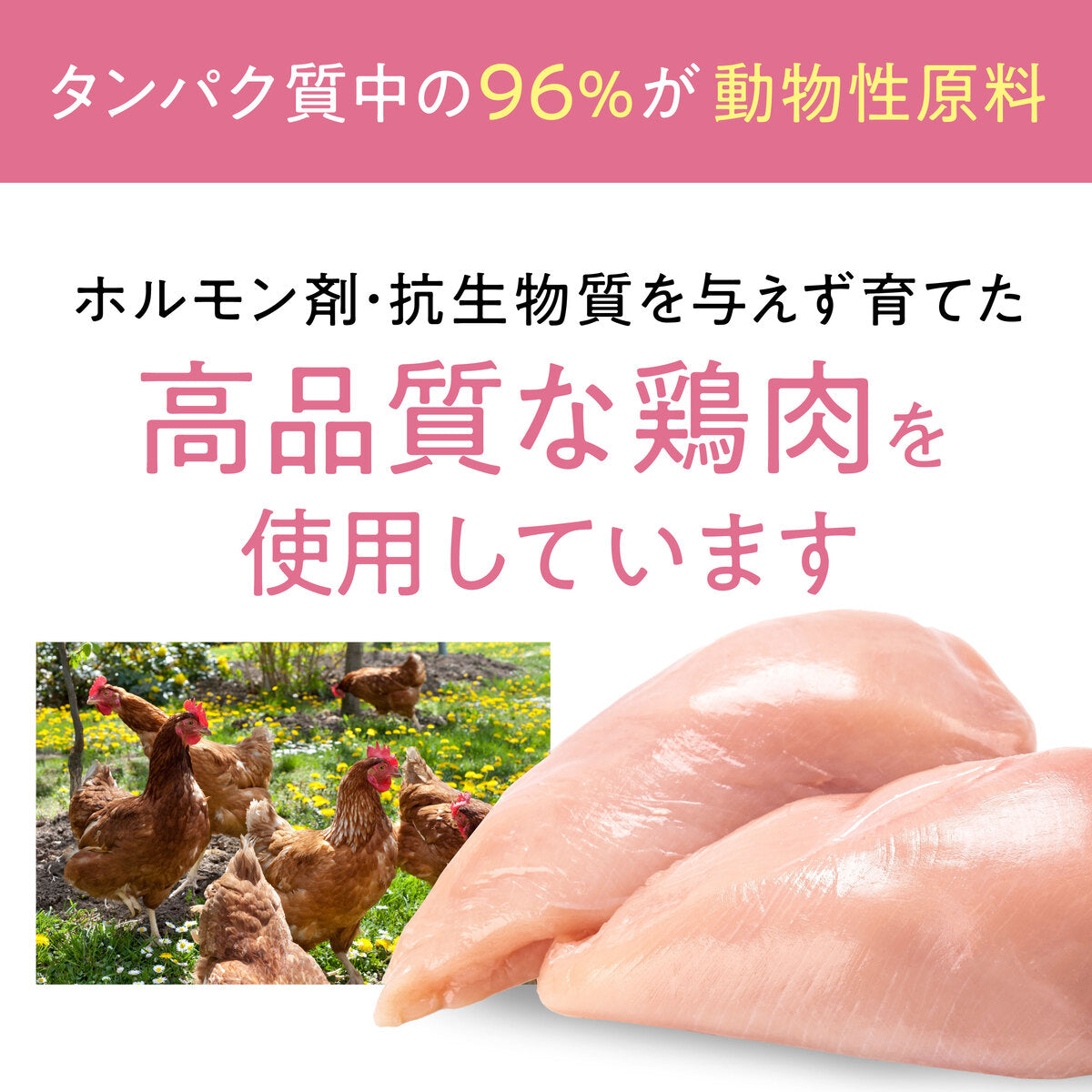 【おためしセット】Catit Recipes KITTEN 子猫用 生後12ヶ月まで （30g×5袋）