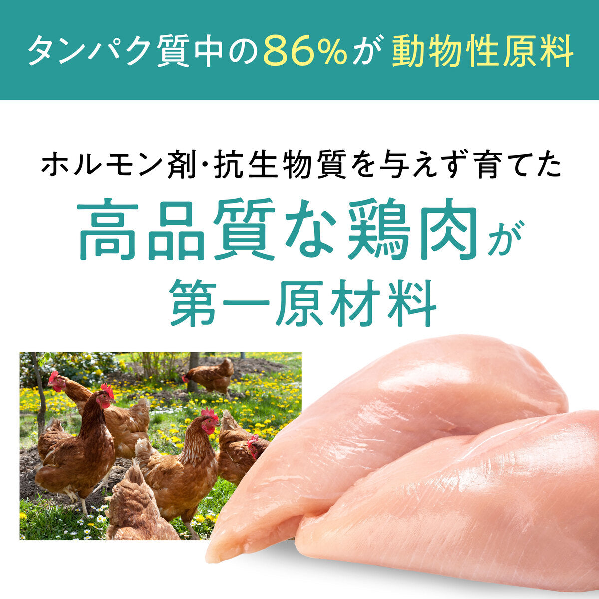 【おためしセット】Catit Recipes SENIOR シニア猫用 11歳から（30g×5袋）