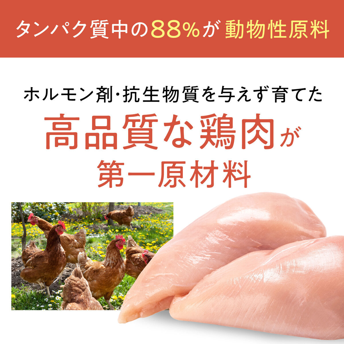 【おためしセット】Catit Recipes WEIGHT CONTROL  体重ケア 成猫用 チキン （30g×5袋）