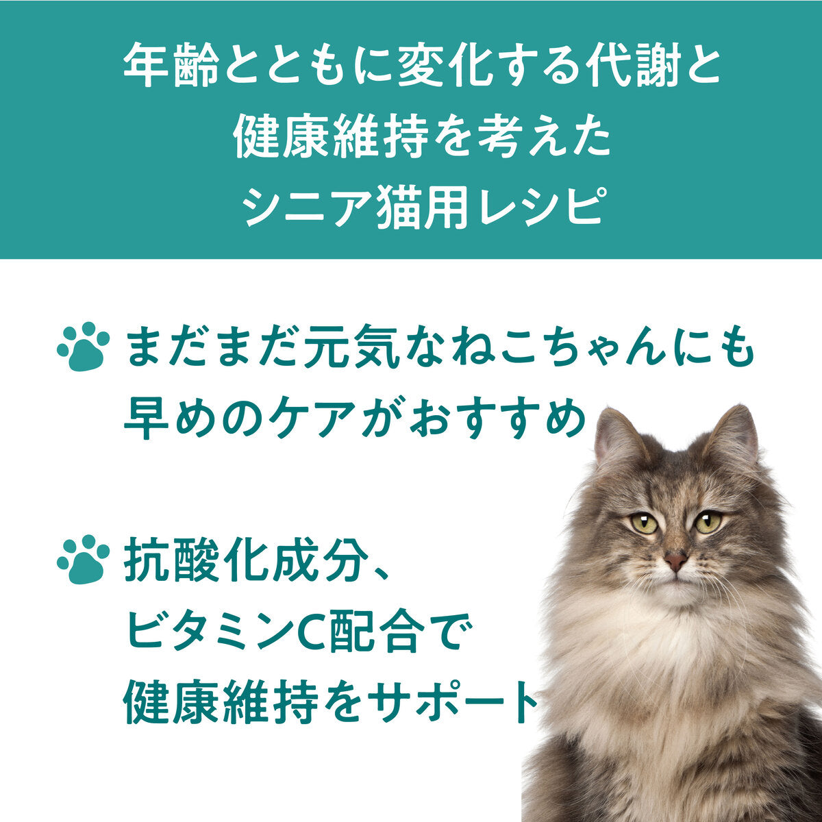 【おためしセット】Catit Recipes SENIOR シニア猫用 11歳から（30g×5袋）
