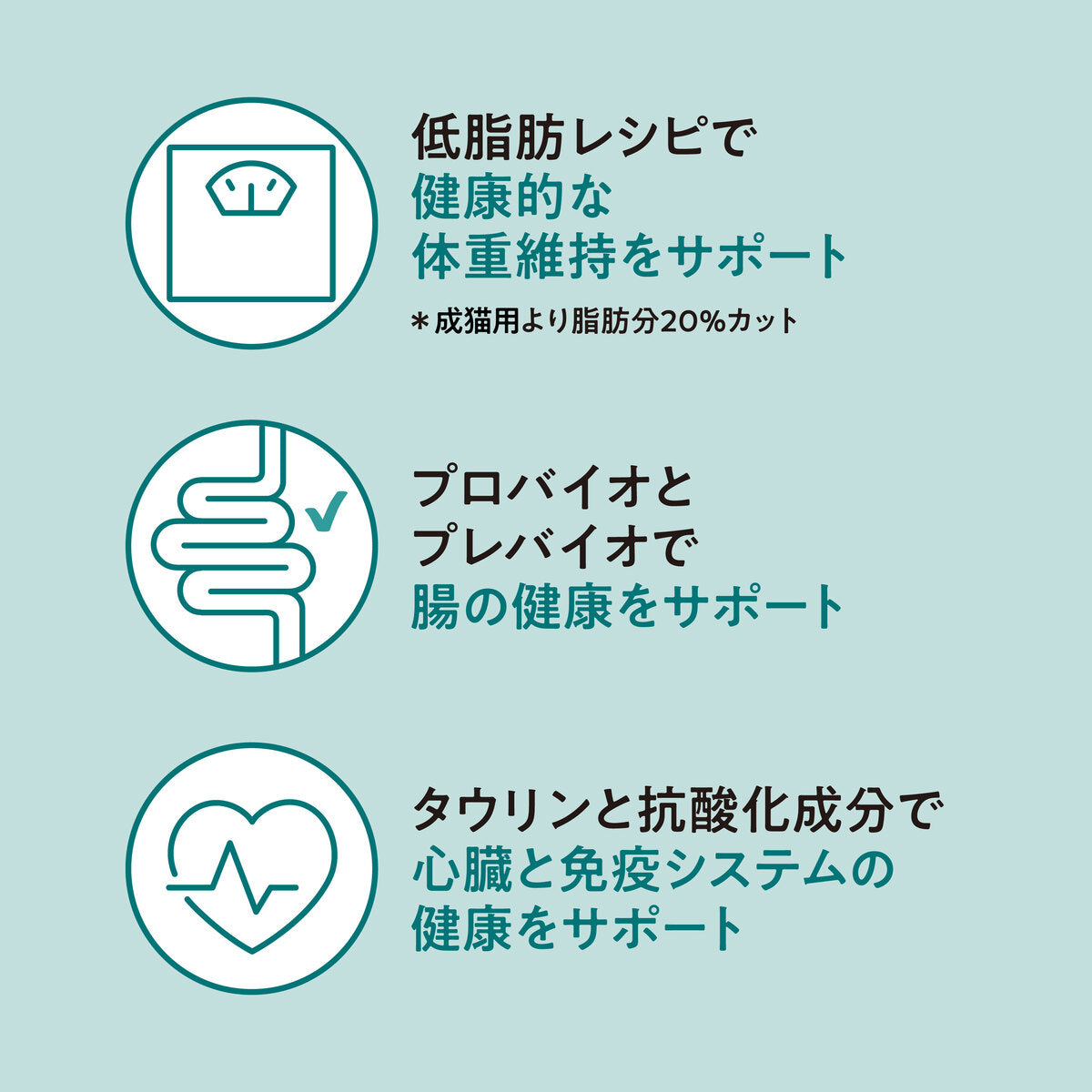 【おまとめ買い】Catit Recipes SENIOR シニア猫用 11歳から4.8㎏ （400g×12袋）
