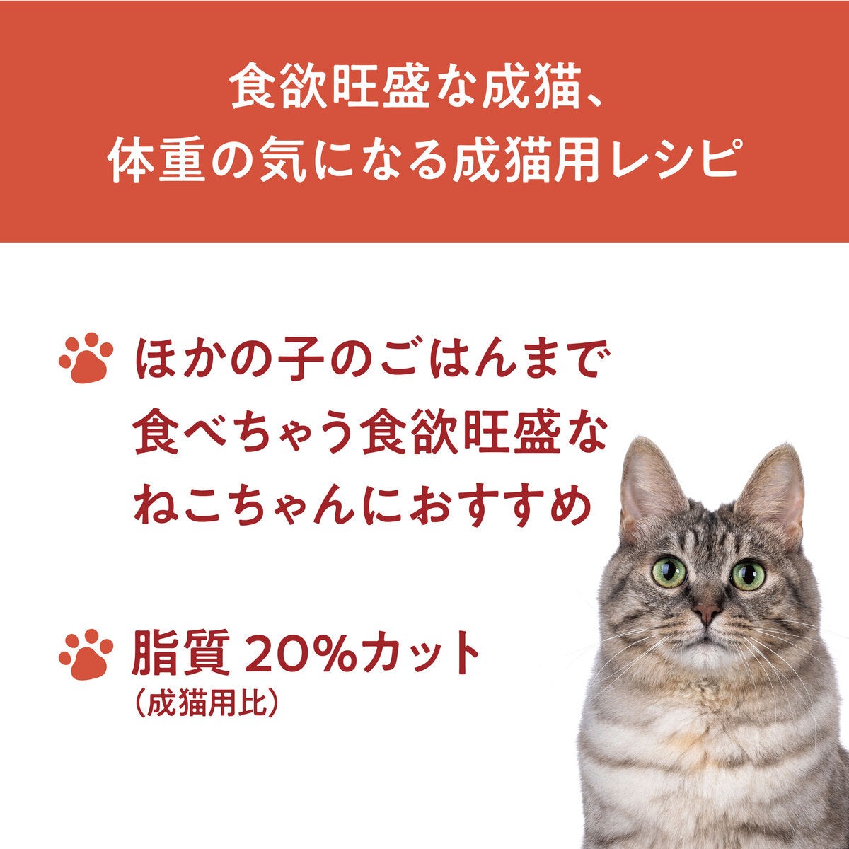 【おまとめ買い】Catit Recipes WEIGHT CONTROL  体重ケア 成猫用 チキン 4.8㎏（400g×12袋）