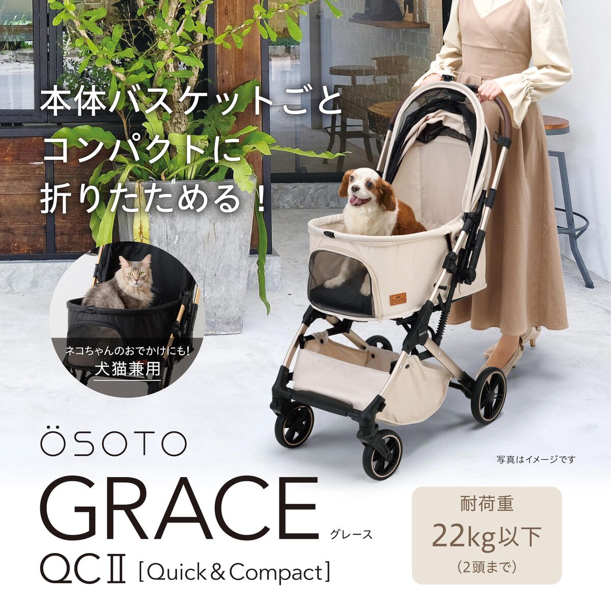 OSOTO GRACE QCⅡ シュクレ