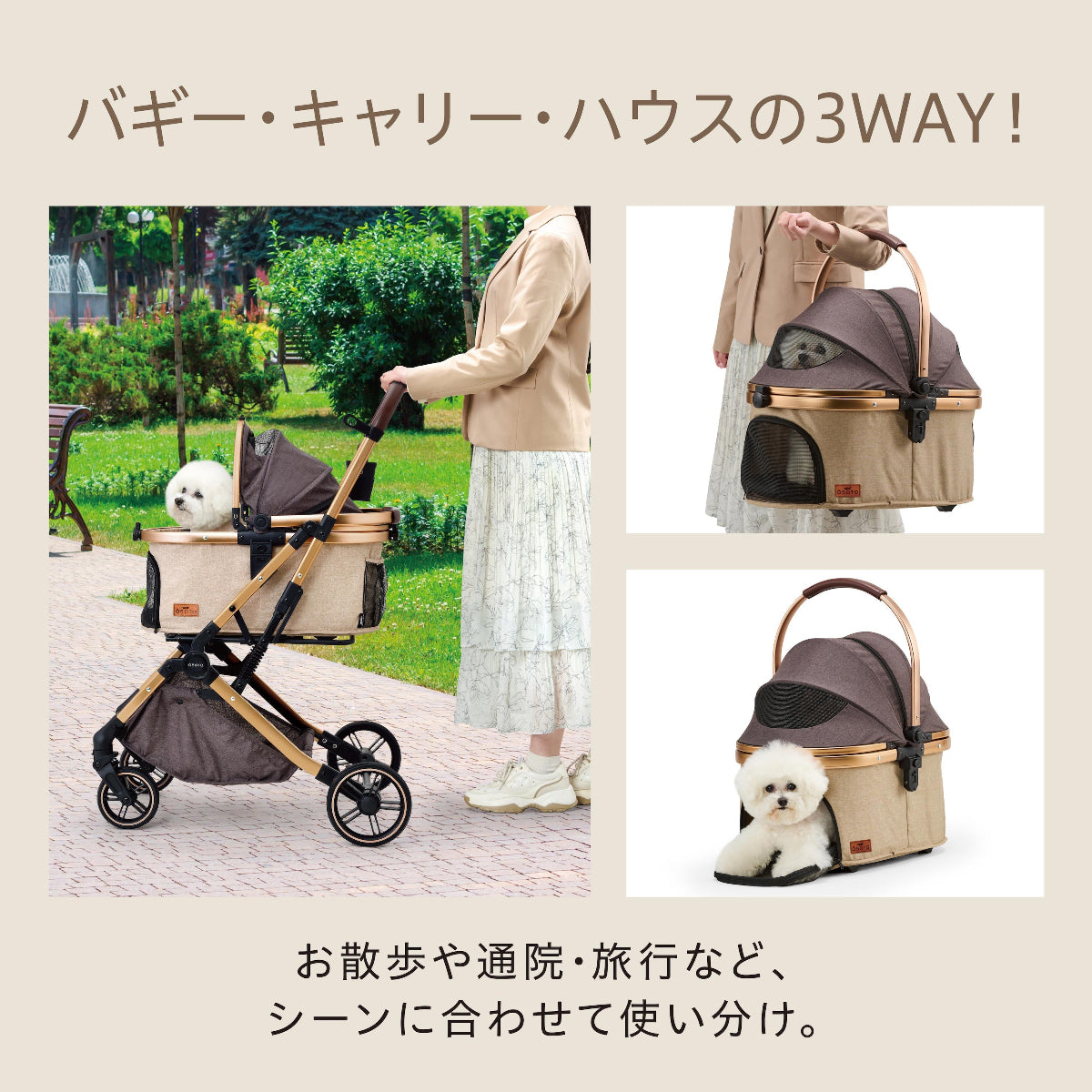 OSOTO GRACE RCⅡ キャメル