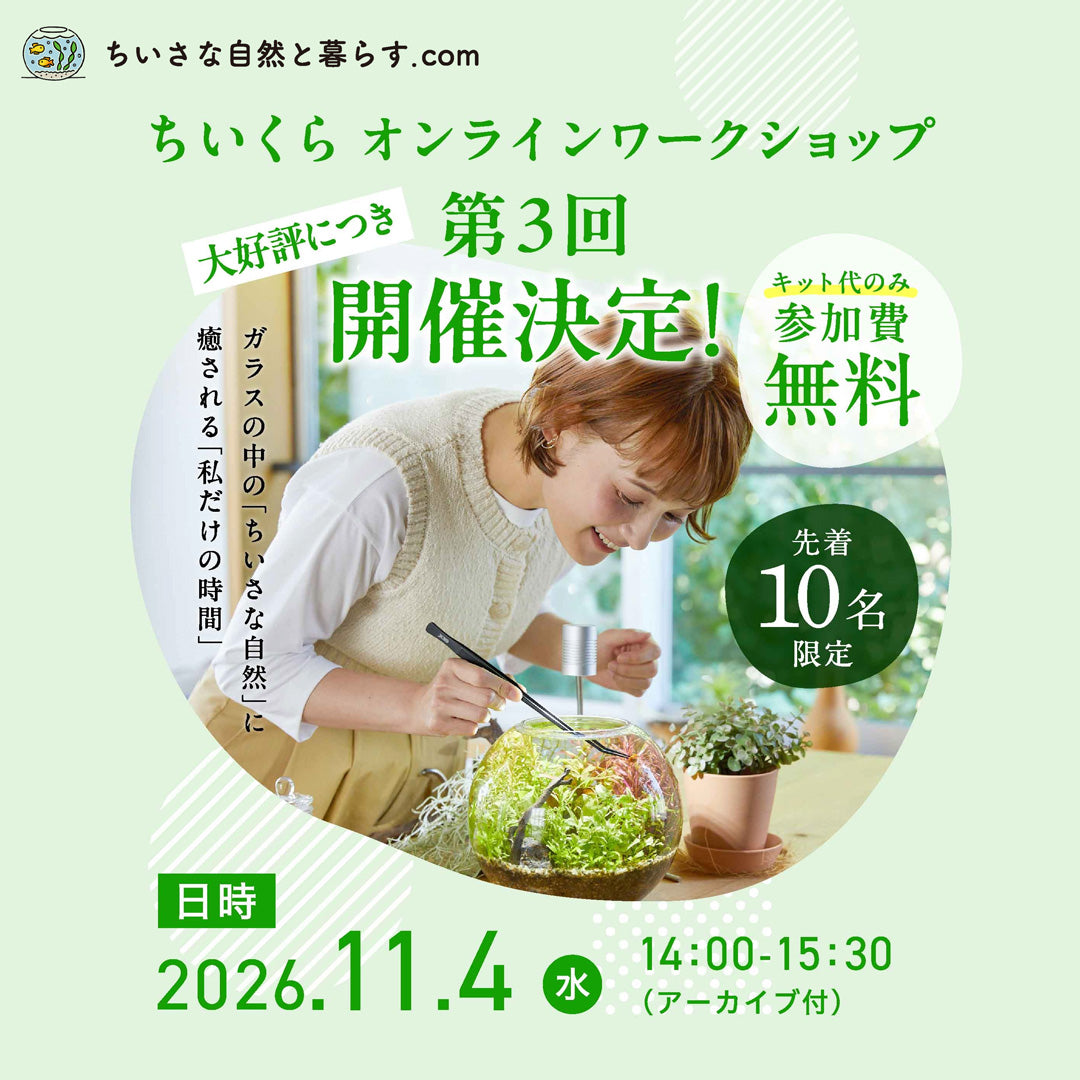 オンラインワークショップ（11/4）参加