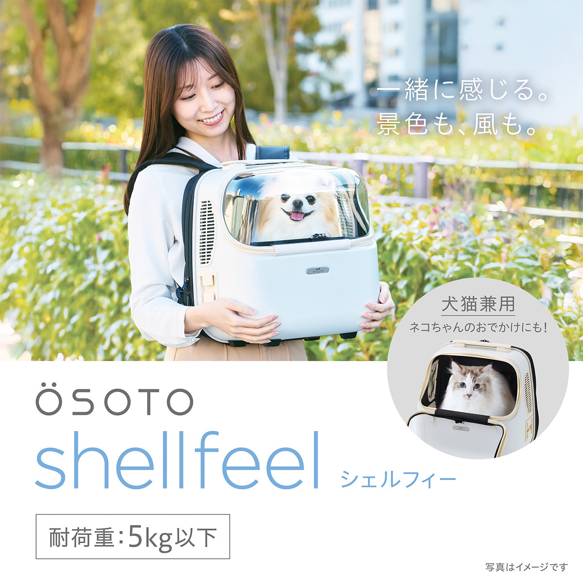 OSOTO シェルフィー ミルク